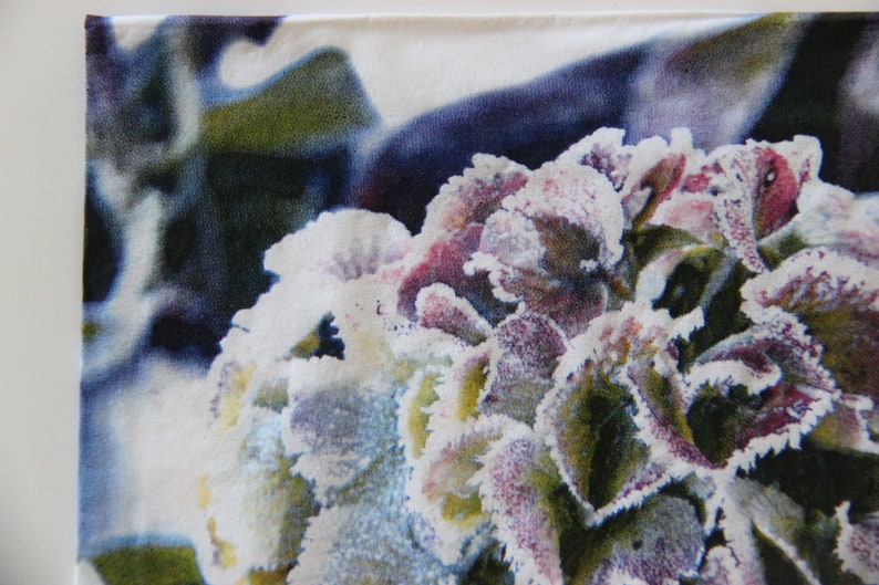 Puede incluir: Primer plano de un grupo de flores moradas y blancas con una superficie helada y texturizada. Las flores est&aacute;n sobre un fondo blanco.