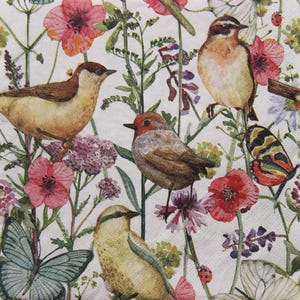 2 oder 4 Stück Papierservietten für Decoupage, verschiedene Vögel, Schmetterlinge und Wiesenblumen Collage auf weißem Hintergrund, Vögel & Schmetterlinge