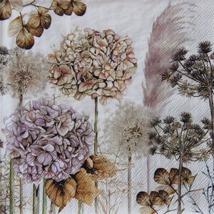 2 o 4 pezzi di tovaglioli di carta per lavori artigianali, rametti di fiori secchi su sfondo bianco, pampa, allium, ortensie e cerfoglio tovaglioli per decoupage