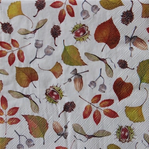 2 oder 4 Stück Papierservietten zum Basteln, Herbstblätter, Eicheln, Zapfen und Kastanien auf weißem Hintergrund, Herbstservietten, Herbstbounty Servietten