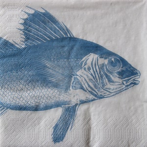 2 o 4 pezzi di tovaglioli di carta per decoupage, motivo pesce azzurro su sfondo bianco, tovagliolo testa di pesce di mare, decoupage vita marina, collage marini