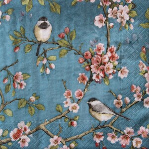 2 o 4 pezzi di tovaglioli di carta per decoupage, uccello cincia e ramoscelli di ciliegio in fiore su sfondo verde acqua, tovaglioli per decoupage con uccello cincia