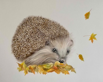 Herbstliche Kälte. Igel Kunstdruck