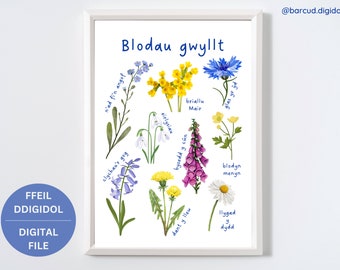 Welsh Wild Flowers Print, Print Blodau Gwyllt, Printable Poster, Wall Decor, Wall Art, Digital Download, Cymraeg, Nature, WIldflowers