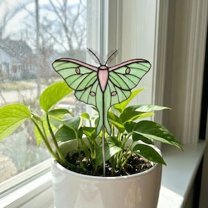 May include: A decorative plant stake featuring a stained glass luna moth design. The moth has light green wings with pink accents and black outlines. It is placed in a white ceramic pot with green leafy plants.