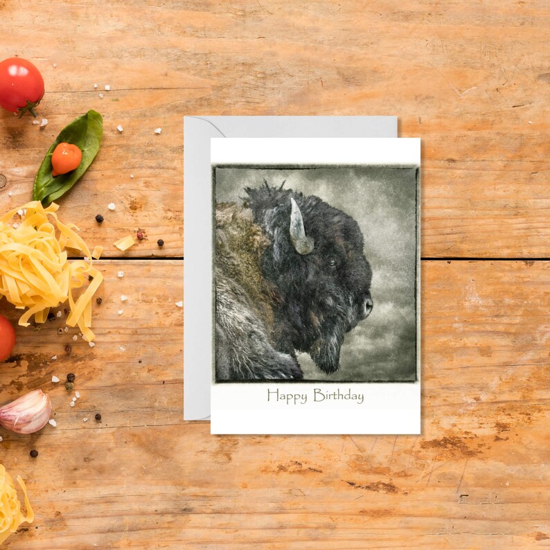Buffalo Birthday Card. Pack of 10 cards made from a image 5