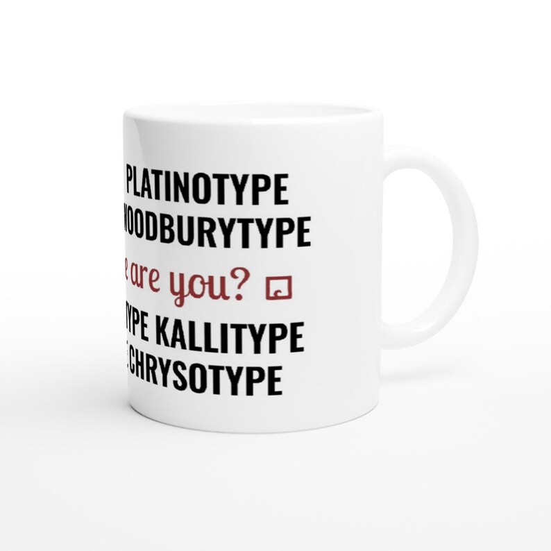 Which type are you Anthotype Cyanotype Daguerreotype White image 6