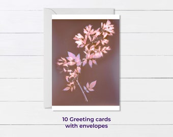 Carte de voeux de fleurs. Lot de 10 cartes composées d'une fleur lumen + enveloppes. Expédition en Europe et dans le reste du monde