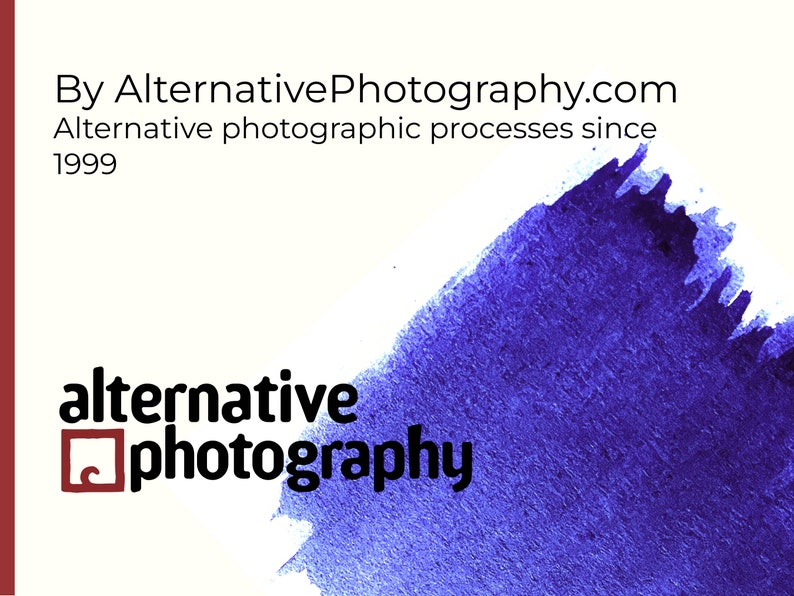Ebook: Anthotypes – Explore the Darkroom in Your Garden and Make ...