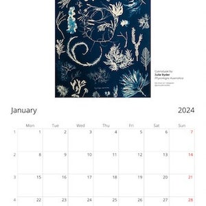 Anna Atkins calendar MONDAY USA and Canada only shipping for image 3
