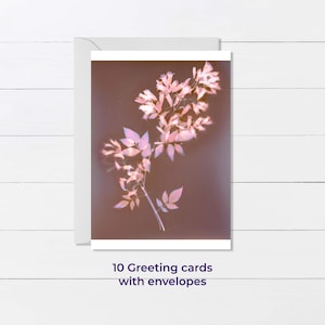 Flower Greeting Card. Pack of 10 cards made from a lumen flower print + envelopes. Ships to US & Canada