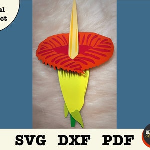 corpse flower svg carrion flower pdf corpse flower dxf botanical cut file titan arum svg digital file rare flower botanical garden botany
