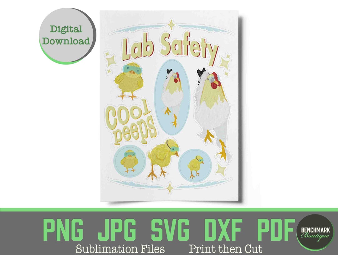 Print Then Cut Lab Safety Stickers Rooster and Chicks Goggles, Lab