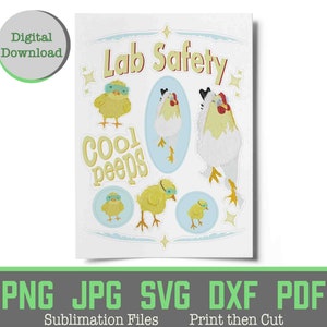 Imprima e corte adesivos de segurança de laboratório Óculos de proteção para galo e pintinhos, humor de segurança de laboratório, óculos de sublimação de segurança de laboratório, decoração de sala de aula de segurança de laboratório