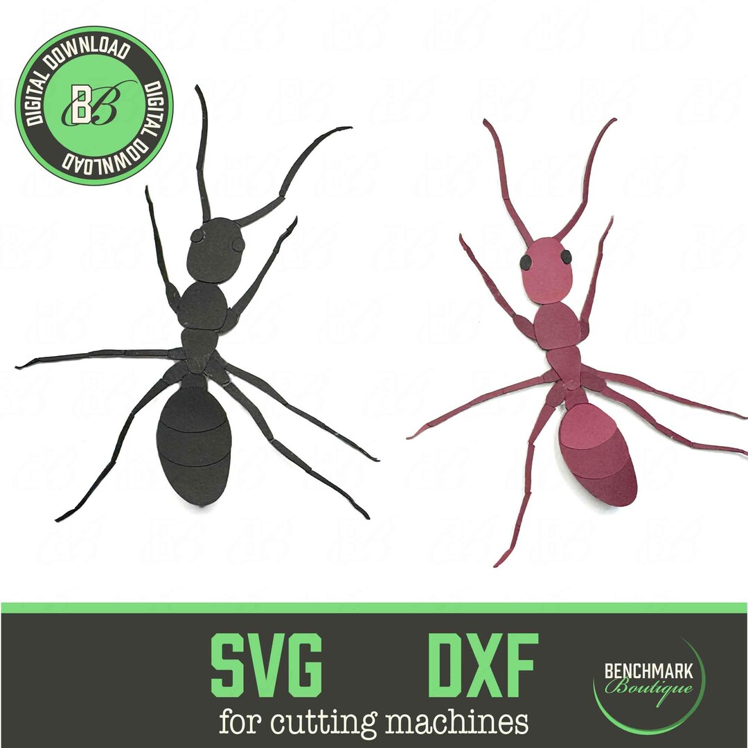 Detailed Ant SVG Cut File: Realistic Insect, Educational Bug Decor ...