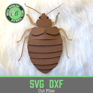error svg archivo cortado chinche 3D svg espeluznante archivo de corte svg insecto realista plaga chinche ciencia svg chinche macho DIY 3D insecto svg modelo de error dxf