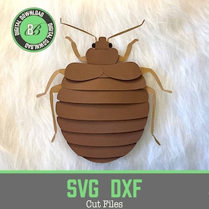 May include: A brown bed bug illustration with segmented body parts, designed for cutting with a craft machine. The image includes the text "SVG DXF Cut Files".