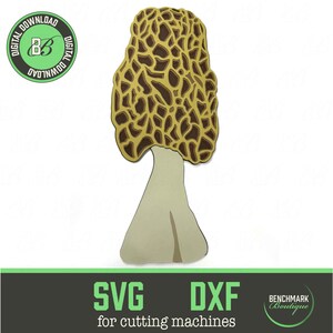 Champignons morilles SVG recherche de nourriture svg champignon printemps nature morilles svg nature réaliste inspiré coupe fichier dxf détaillé morilles fichier svg