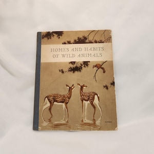 1934 Homes and Habits of Wild Animals Hard Cover Book by Karl Patterson Schmidt Illustrated by Walter Alois Weber Vintage Childrens Story