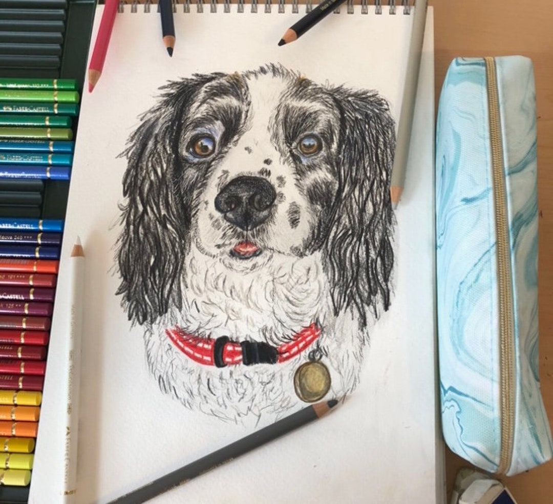 Hand Drawn Coloured Pencil Pet Portraits Etsy
