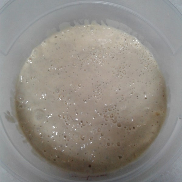 Einkorn Whole Wheat Sourdough Starter Made With 100% Organic Einkorn Whole Wheat Flour , Very Active