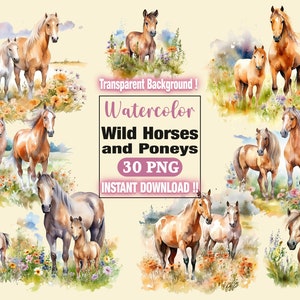 Watercolor horse clipart, Wild horses and Poney clipart bundle, Meadow wild horses, Wild animals card making, Paper crafts, Scrapbook, West