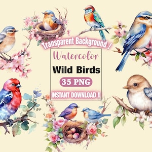 Watercolor Birds Clipart Bundle, Spring Birds Clipart, Birds Bundle, Colorful Birds Clipart, Birds On Branch Clipart, Digital PNG, Stickers