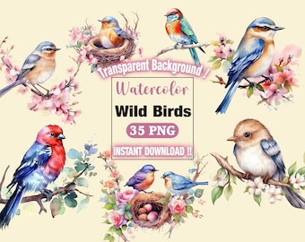 Watercolor Birds Clipart Bundle, Spring Birds Clipart, Birds Bundle, Colorful Birds Clipart, Birds On Branch Clipart, Digital PNG, Stickers