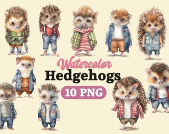 Hedgehog Png, Watercolor Hedgehog, Hedgehog clipart, Hedgehog Sublimation, Hedgehog art, Hedgehog, Hedgehog digital, Png Bundle, Sonic