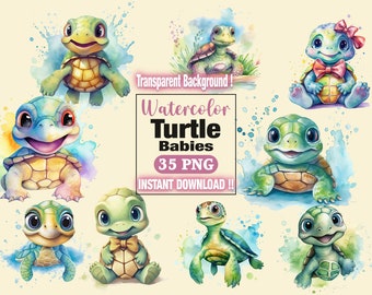 Watercolor Sea Turtle Clipart Bundle - High-Resolution PNG Images for Kids Sublimation Designs, for Commercial Use, Kids png Gift , Nursery