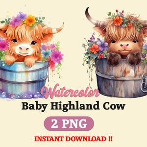 Baby Highland Kuh Clipart Bundle, Sublimation, Aquarell Cottagecore, Highland Kuh Geschenke, png Bundle, kommerzielle Nutzung, niedliche Baby Kuh Blumen