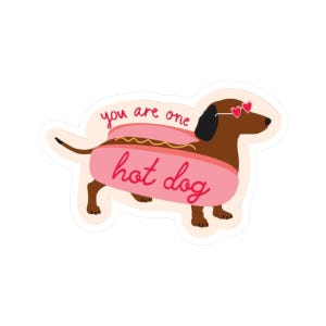 Lustig Dackel Hot Dog Kiss-Cut Aufkleber, niedlicher Tieraufkleber, schrullige Dackel Hund Aufkleber, Hundeliebhaber Geschenk, Boho Laptop Aufkleber