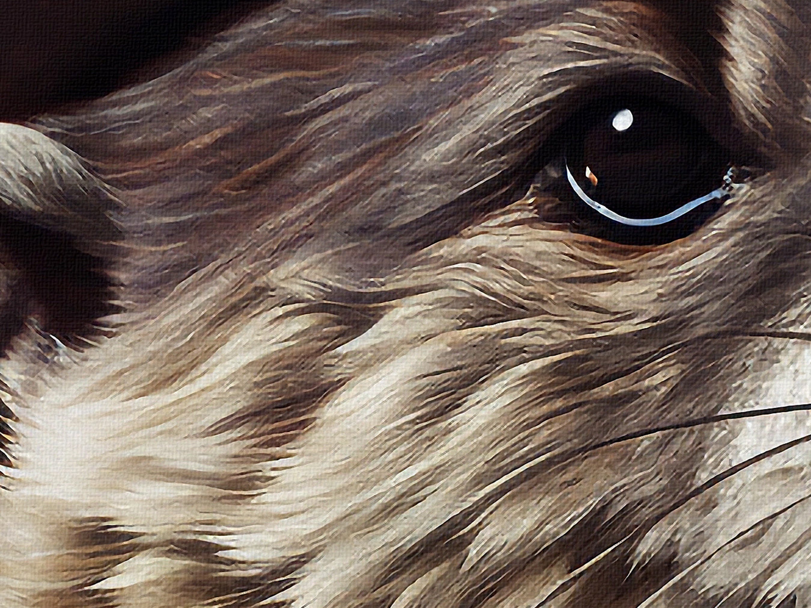 Discover Vintage Otter Portrait Print, Renaissance Painting, Antique Art Poster, Animal Head Human Body, No Frame