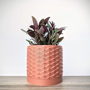 Terracotta Pot, Dragon Scale Planter with Drainage Tray, Made from an Eco-Friendly Plant Based Plastic