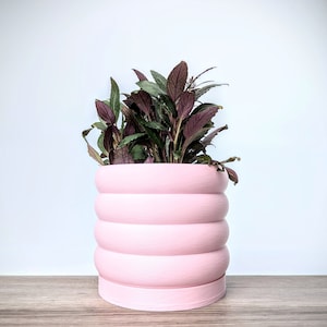 May include: A pink, multi-tiered ceramic planter with a dark green and purple plant growing inside.