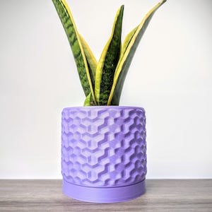 May include: A potted snake plant with green and yellow leaves in a purple planter with a geometric pattern.