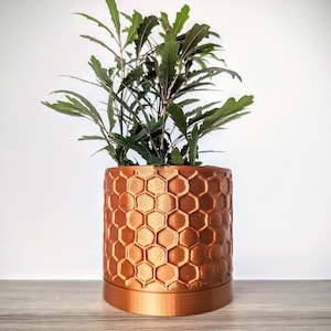 Op de afbeelding: Een koperkleurige plantenpot met een honingraatpatroon, met daarin een groene, bladerige plant. De pot staat op een lichtbruin houten oppervlak.