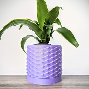 May include: A potted plant with green leaves in a purple planter with a textured, scaly design.