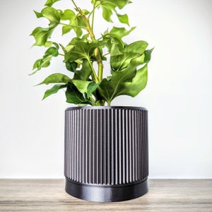 Puede incluir: Una planta verde de hojas en una maceta de cerámica negra con nervaduras. La maceta tiene una base ancha y una parte superior ligeramente acampanada.