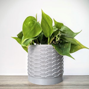 May include: A green leafy plant in a gray ceramic planter with a wave pattern.