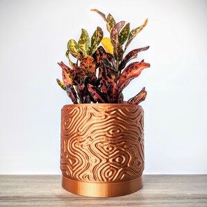 May include: A potted plant with green and red leaves in a copper-colored planter with a wavy pattern.