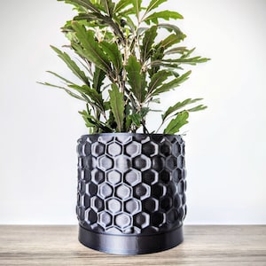 Puede incluir: Una maceta negra con un patrón de panal de abeja contiene una planta verde de hojas. La maceta tiene una base ancha y una parte superior ligeramente más estrecha.
