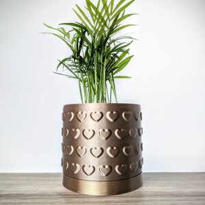 Puede incluir: Una planta verde en una maceta de color cobre con un patrón de corazón. La maceta tiene un acabado liso y metálico.