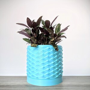 May include: A blue planter with a textured, scaly design holds a plant with dark purple leaves.
