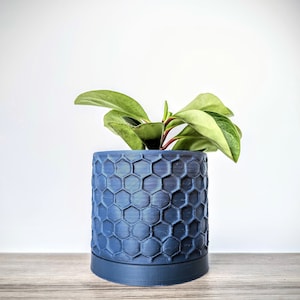 May include: A blue planter with a honeycomb pattern holds a small green plant with leaves.