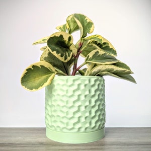 Light Pastel Green Planter, Geometric Plant Pot with Drain Tray, Minimal Planters, Made from an Eco-Friendly Plant Based Plastic