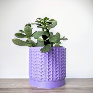 Könnte beinhalten: Eine kleine Sukkulente mit grünen Blättern in einem violetten Topf mit einem Blatt-Muster. Der Topf hat eine breite Basis und einen etwas schmaleren oberen Rand.