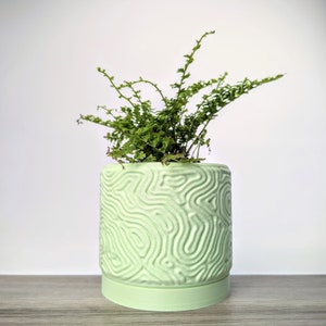 Light Pastel Green Pot, Coral Maze Planter with Drainage Tray, Made from an Eco-Friendly Plant Based Plastic