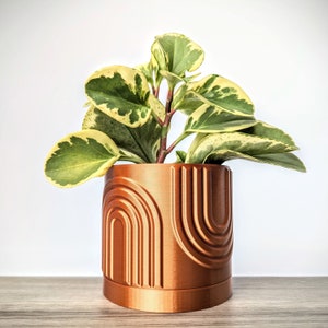 May include: A small, variegated houseplant in a copper-colored planter with a geometric design. The planter has a rounded shape and features a repeating pattern of arches.
