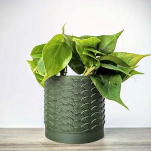 May include: A green potted plant with large, dark green leaves in a dark green planter with a textured, wave-like pattern.